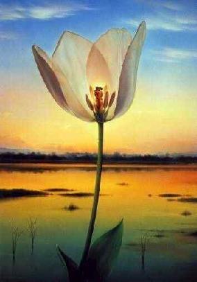 flor.jpg